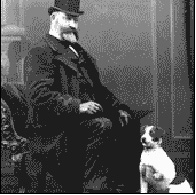 Screen Shot 2019-11-26 at 08.22.00