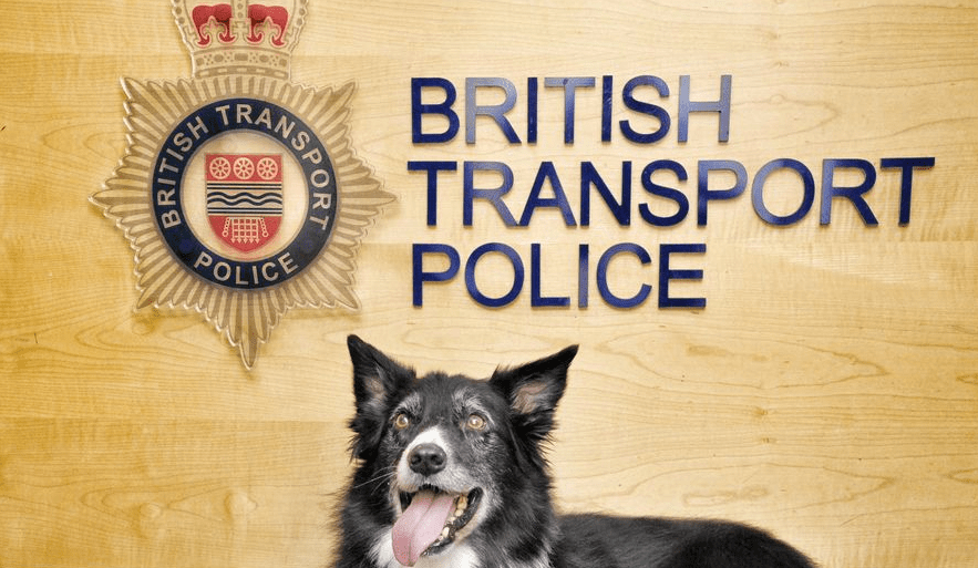 Screen Shot 2019-11-26 at 12.50.07.png